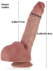 Tancrède - Gode Réaliste Cintrable à Tige Métallique - 24 cm